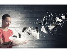 Load image into Gallery viewer, Dark Feathers Overlays