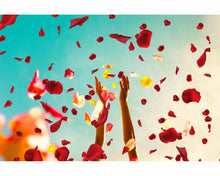 Load image into Gallery viewer, Petals Overlays