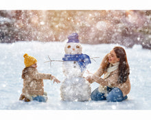 Load image into Gallery viewer, Snow Overlays