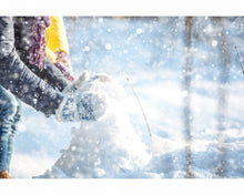 Load image into Gallery viewer, Snow Overlays