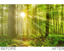 Load image into Gallery viewer, 1490+ Overlays Effect Bundle
