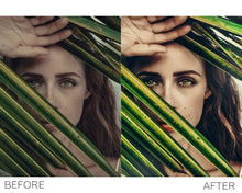 Load image into Gallery viewer, 558+ Photoshop Actions Bundle
