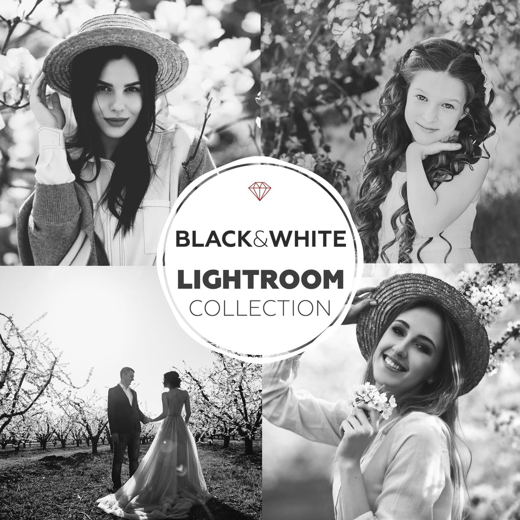 Black & White Lightroom Presets