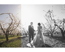 Load image into Gallery viewer, Black &amp; White Lightroom Presets
