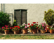 Load image into Gallery viewer, Instant Camera Photoshop Actions
