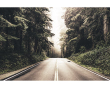 Load image into Gallery viewer, Minimise Lightroom Presets
