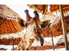 Load image into Gallery viewer, Pets Lightroom presets collection
