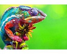 Load image into Gallery viewer, Pets Lightroom presets collection
