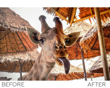 Load image into Gallery viewer, Pets Lightroom presets collection

